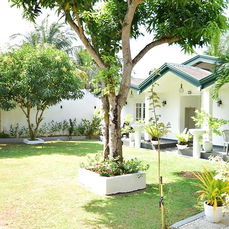 The Bamboo Tree Transit Hotel Katunayaka Esterno foto