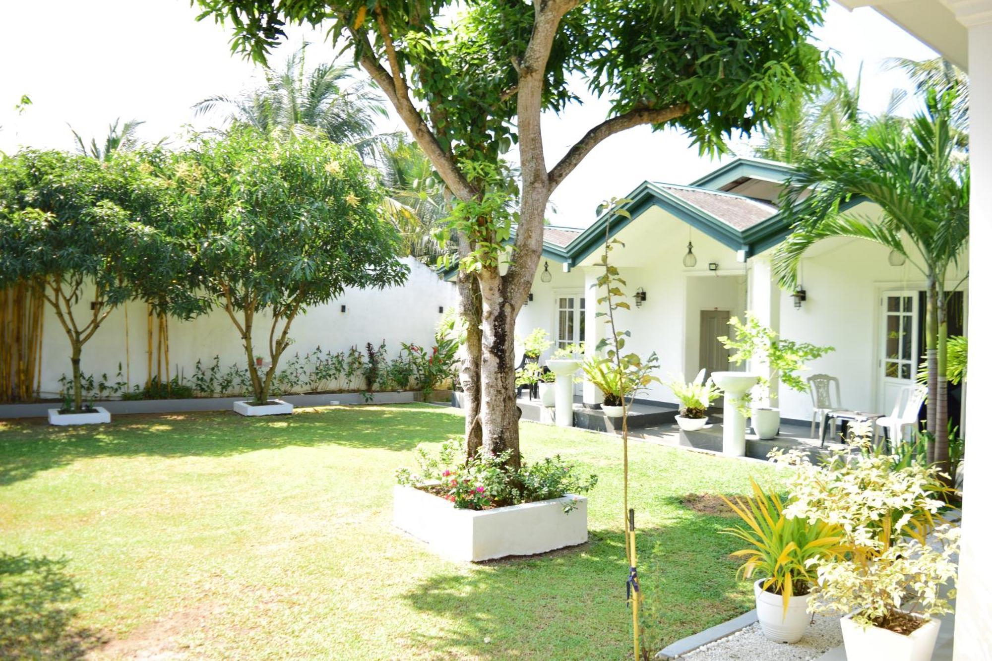 The Bamboo Tree Transit Hotel Katunayaka Esterno foto