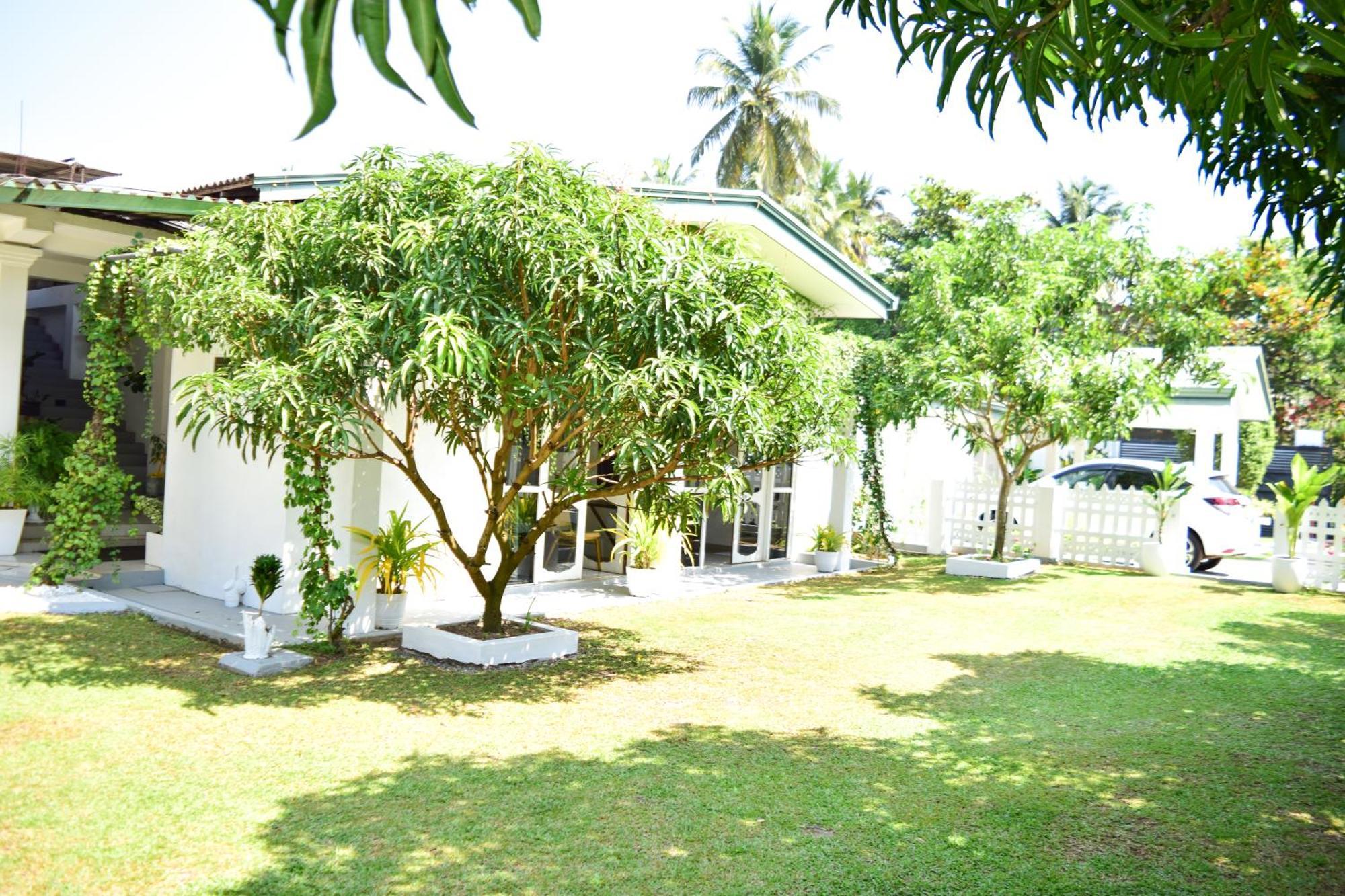 The Bamboo Tree Transit Hotel Katunayaka Esterno foto