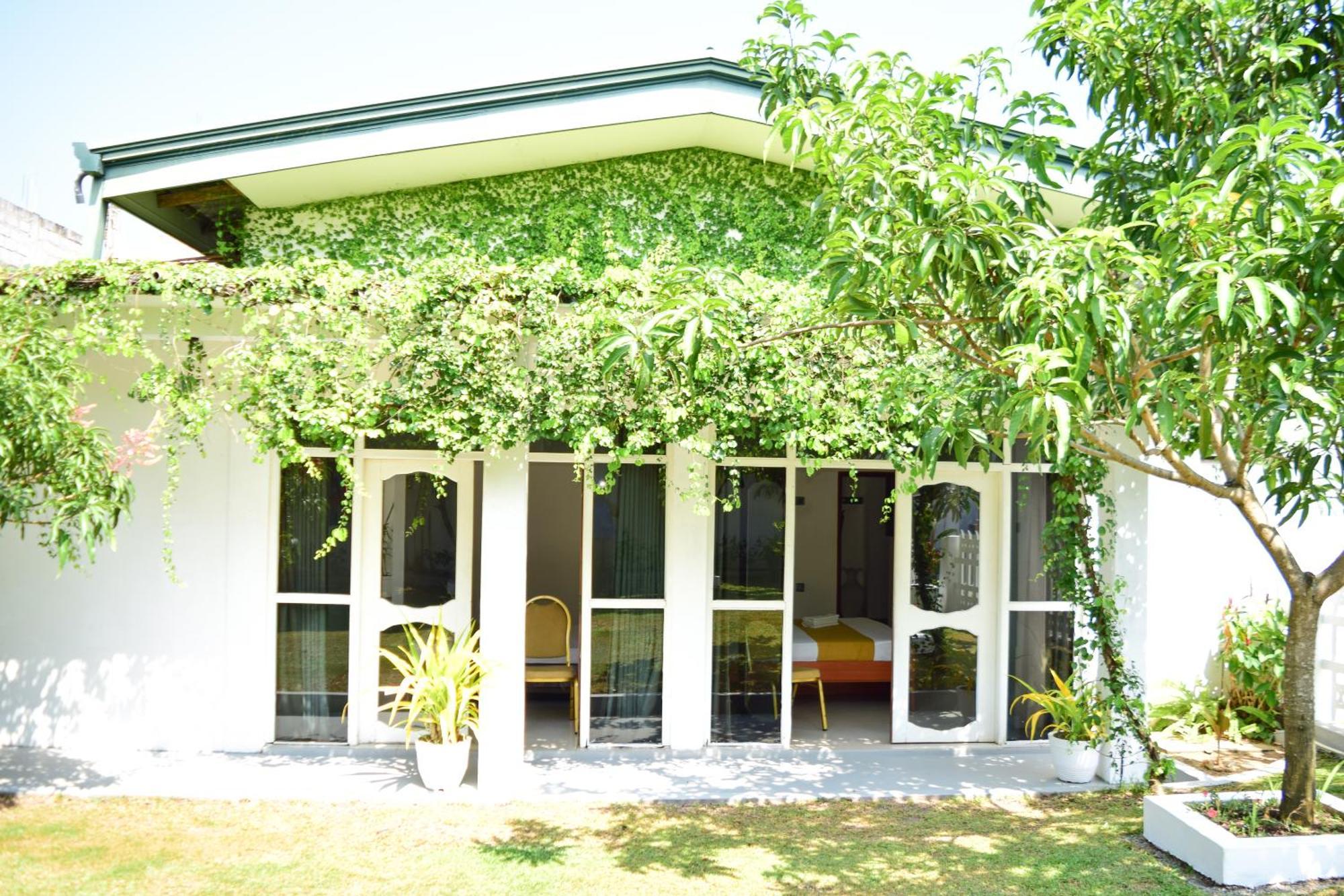 The Bamboo Tree Transit Hotel Katunayaka Esterno foto