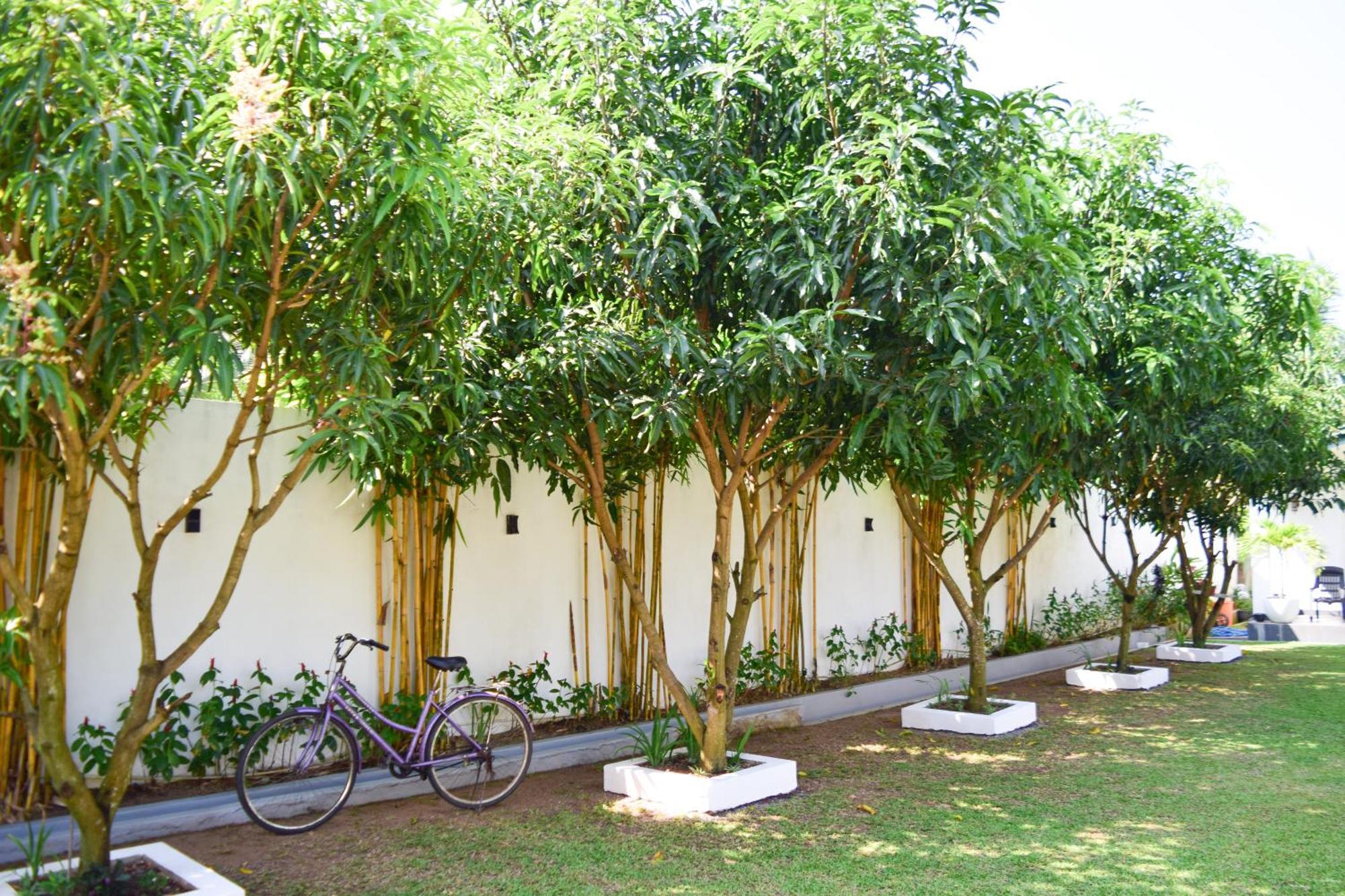 The Bamboo Tree Transit Hotel Katunayaka Esterno foto